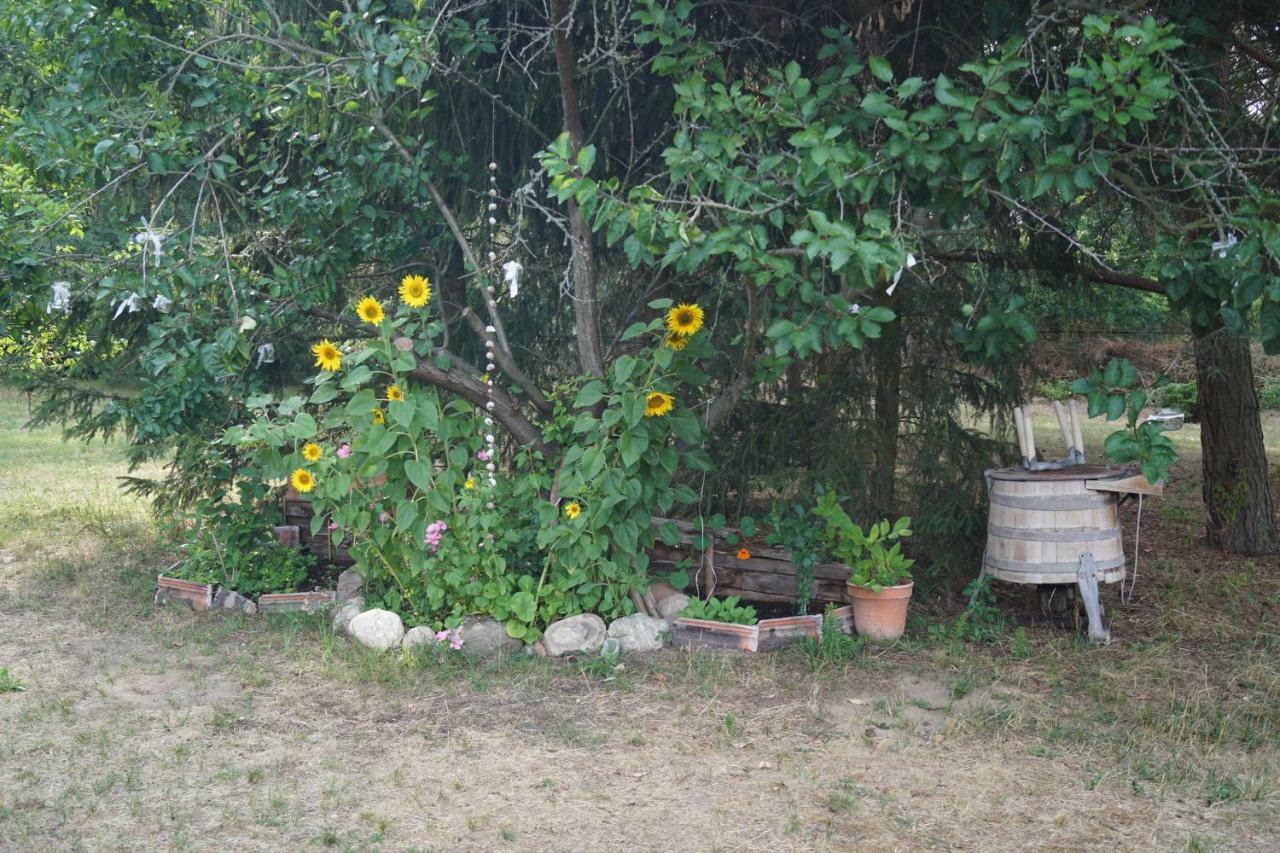 Ferienwohnung Rehagen Sued Am Mellensee Exteriér fotografie