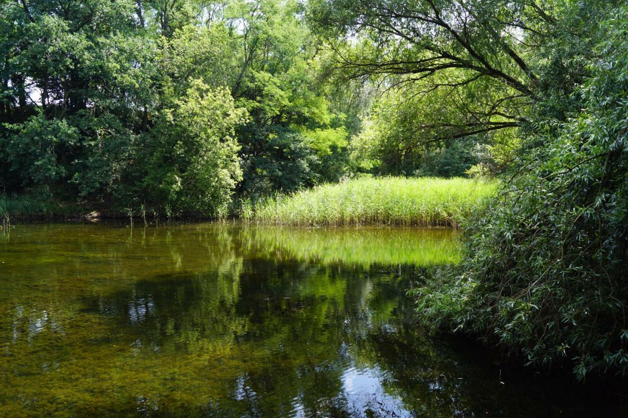Ferienwohnung Rehagen Sued Am Mellensee Exteriér fotografie